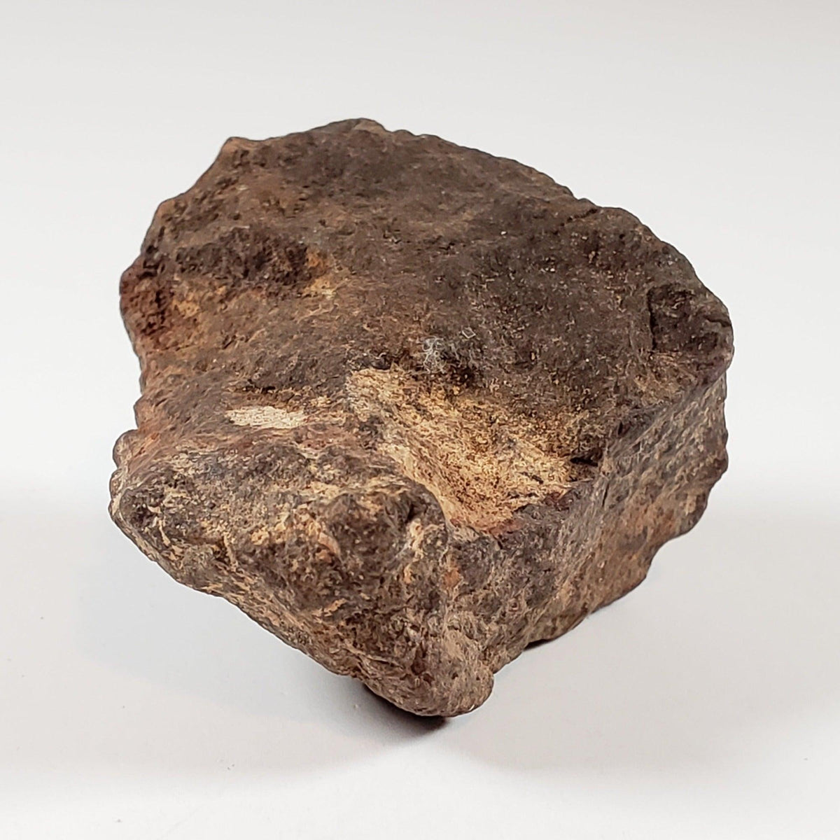  Northwest Africa NWA Meteorite | 46.03 Grams | Individual Fragment | Sahara 8