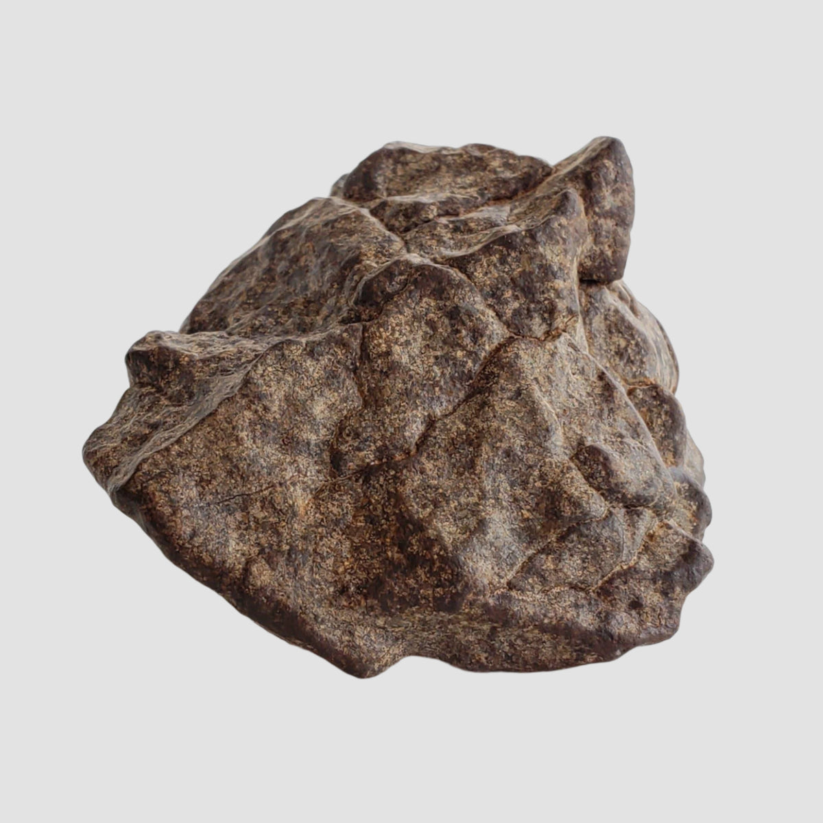  Northwest Africa NWA Meteorite | 49.04 Grams | Individual Fragment | Sahara 2