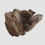  Northwest Africa NWA Meteorite | 49.04 Grams | Individual Fragment | Sahara 3