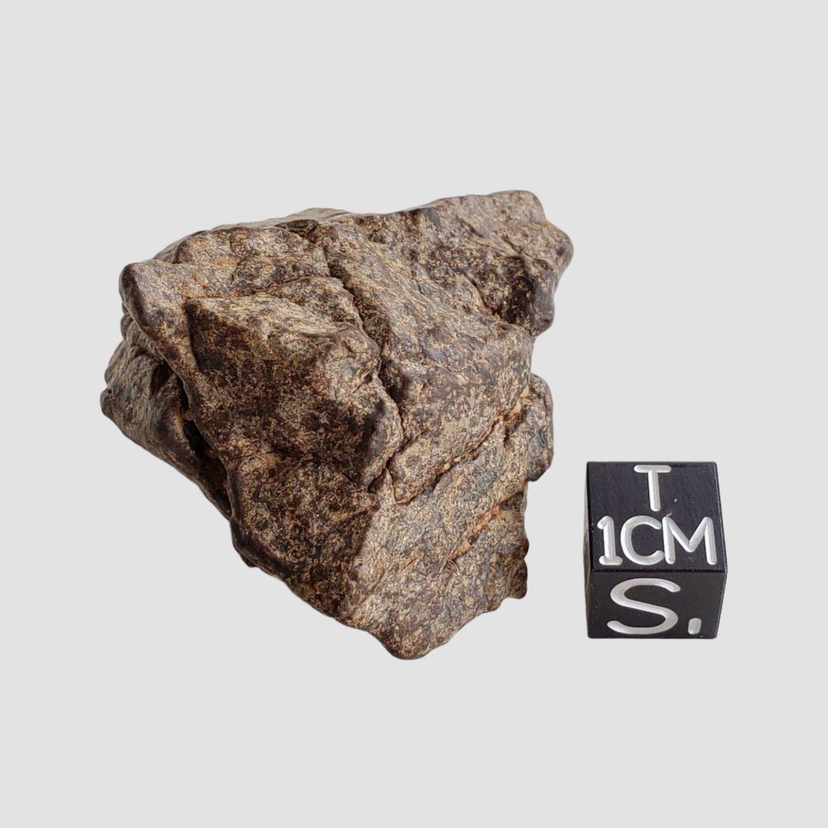  Northwest Africa NWA Meteorite | 49.04 Grams | Individual Fragment | Sahara 