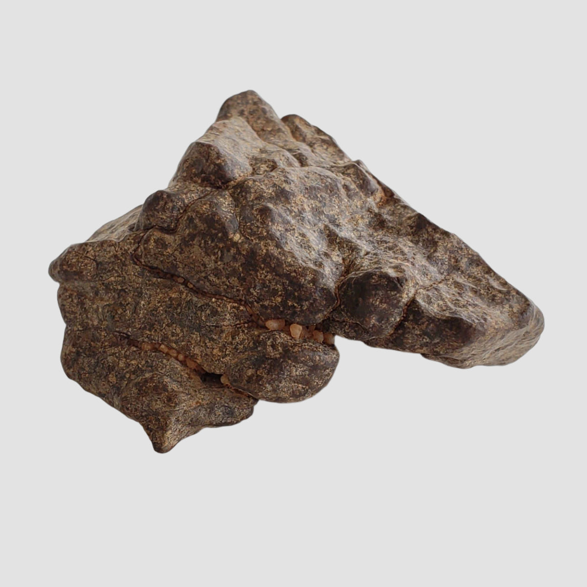  Northwest Africa NWA Meteorite | 49.04 Grams | Individual Fragment | Sahara 1