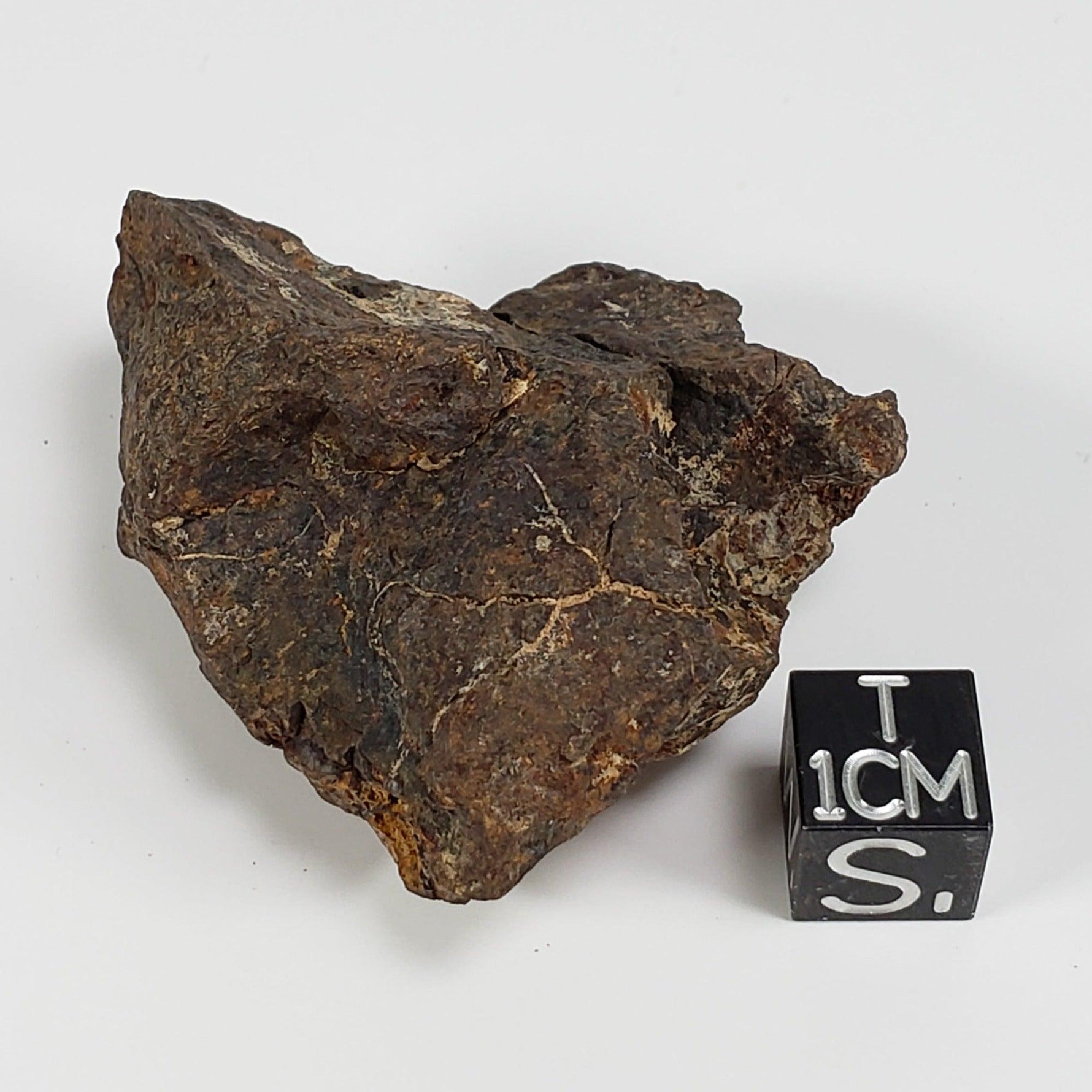  Northwest Africa NWA Meteorite | 49.5 Grams | Individual Fragment | Sahara 