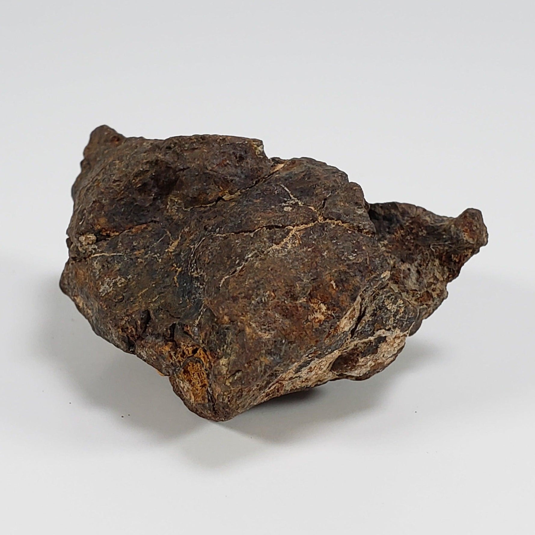  Northwest Africa NWA Meteorite | 49.5 Grams | Individual Fragment | Sahara 2