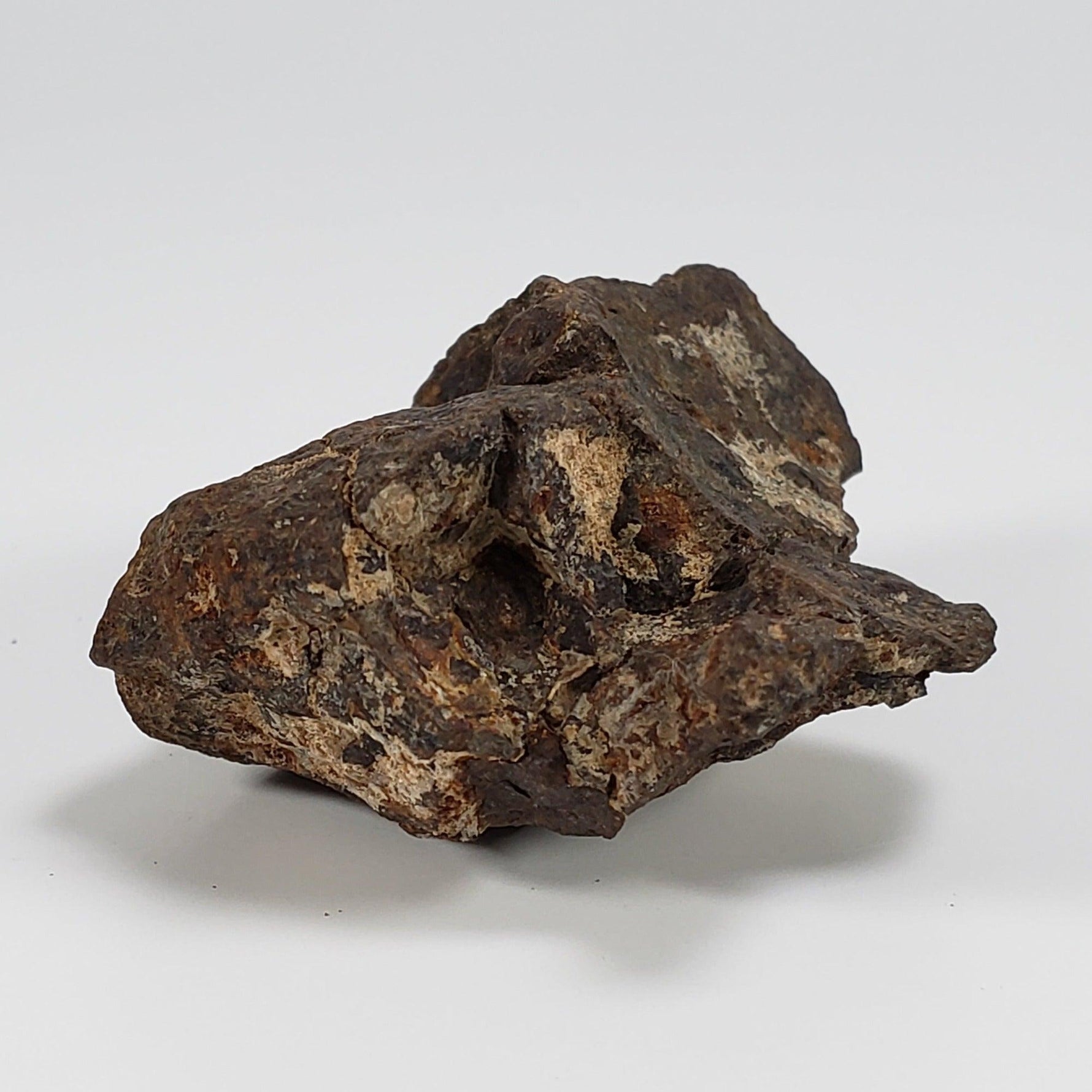  Northwest Africa NWA Meteorite | 49.5 Grams | Individual Fragment | Sahara 3