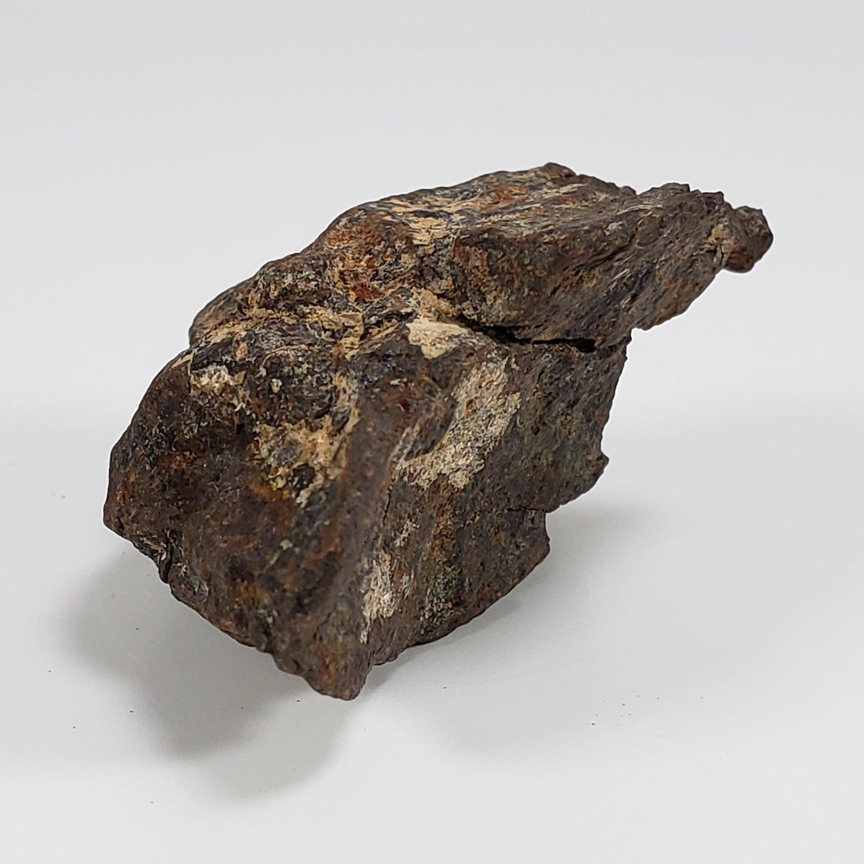  Northwest Africa NWA Meteorite | 49.5 Grams | Individual Fragment | Sahara 4