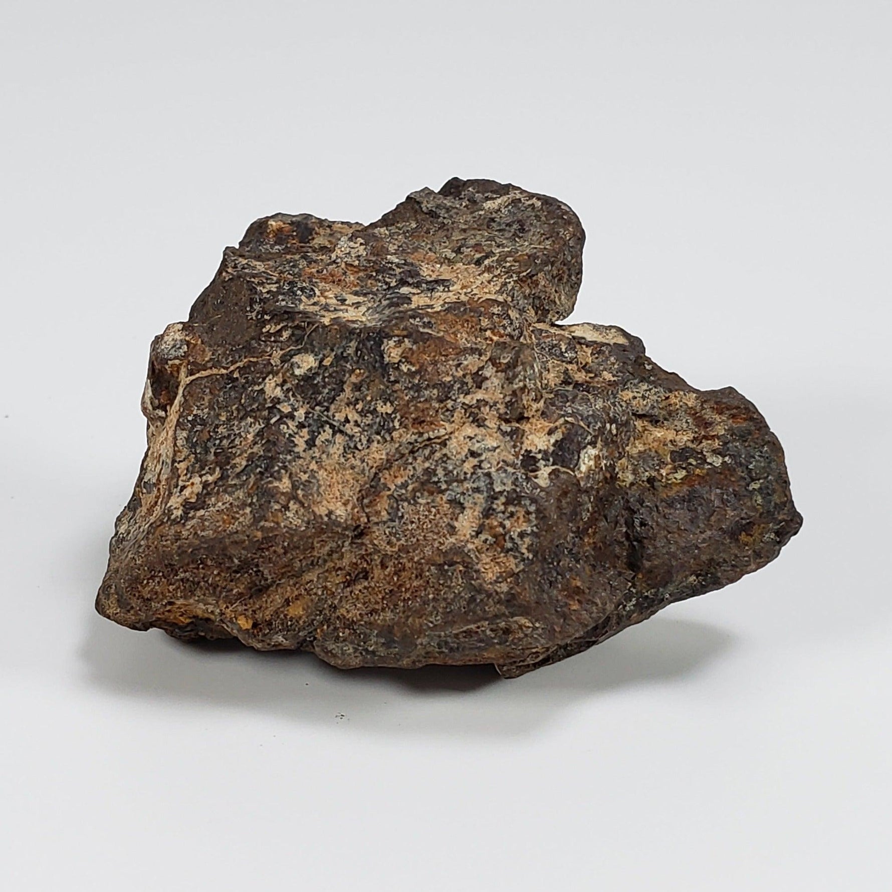  Northwest Africa NWA Meteorite | 49.5 Grams | Individual Fragment | Sahara 5