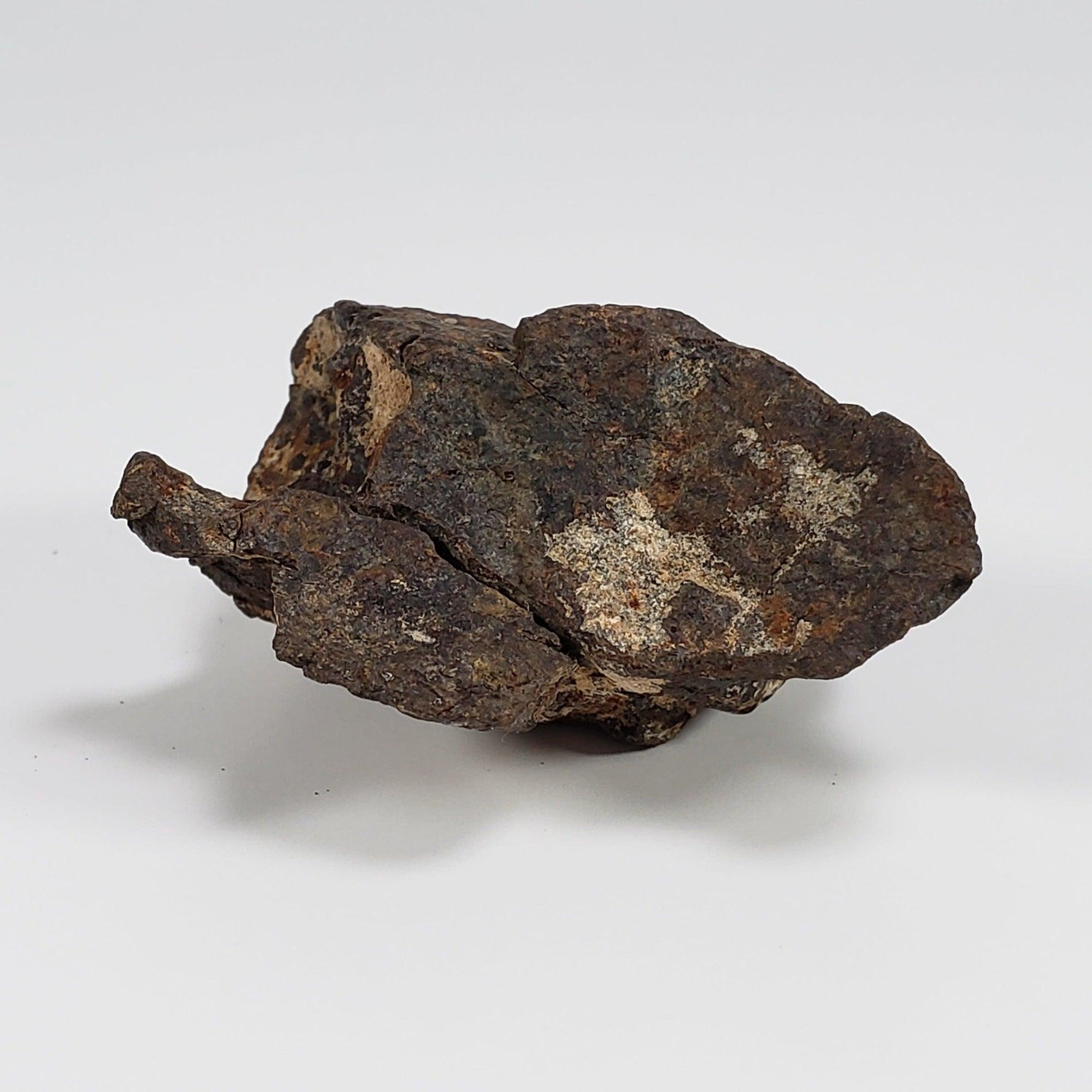  Northwest Africa NWA Meteorite | 49.5 Grams | Individual Fragment | Sahara 6