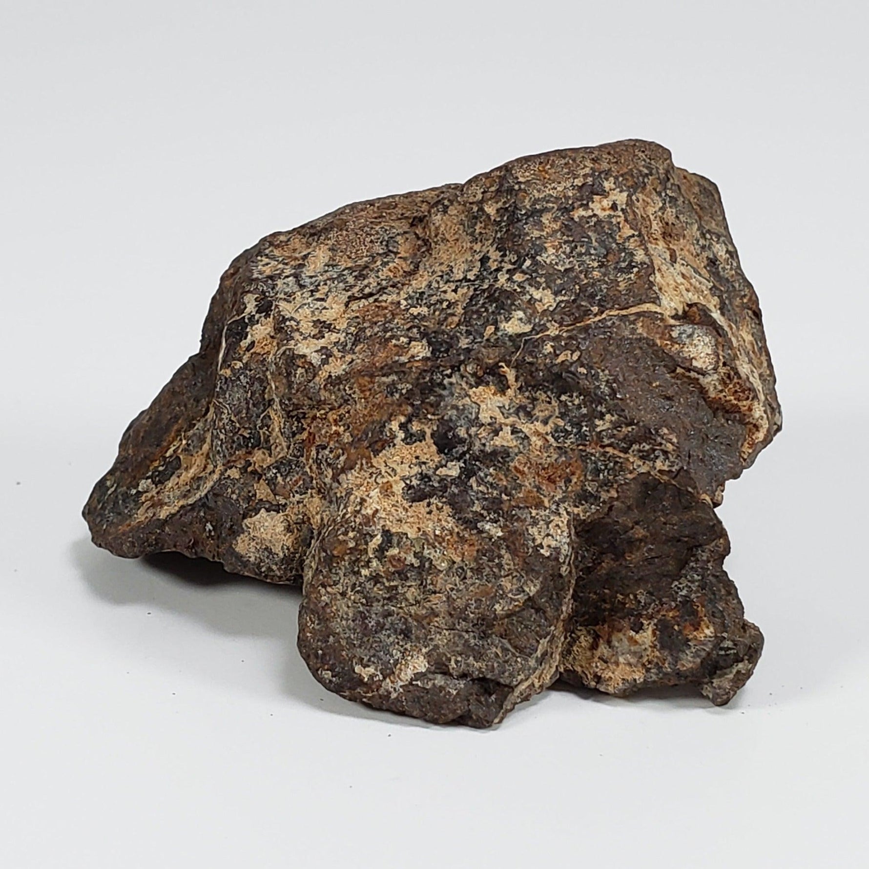  Northwest Africa NWA Meteorite | 49.5 Grams | Individual Fragment | Sahara 7