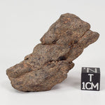  Northwest Africa NWA Meteorite | 54 Grams | Individual Fragment | Sahara 
