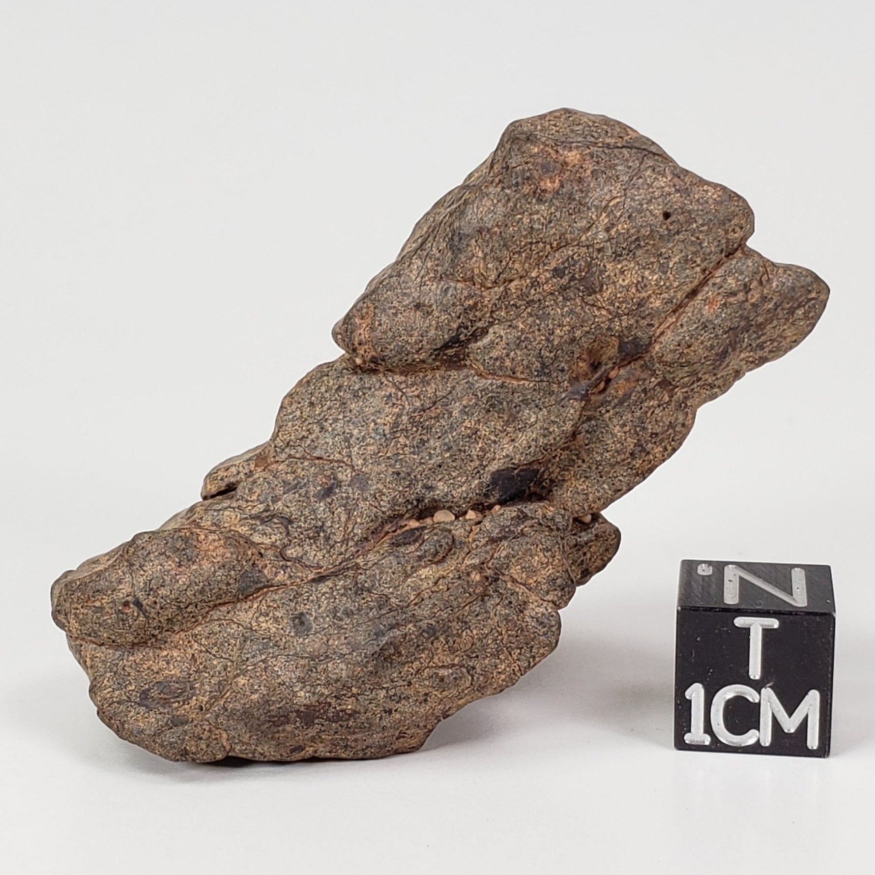  Northwest Africa NWA Meteorite | 54 Grams | Individual Fragment | Sahara 