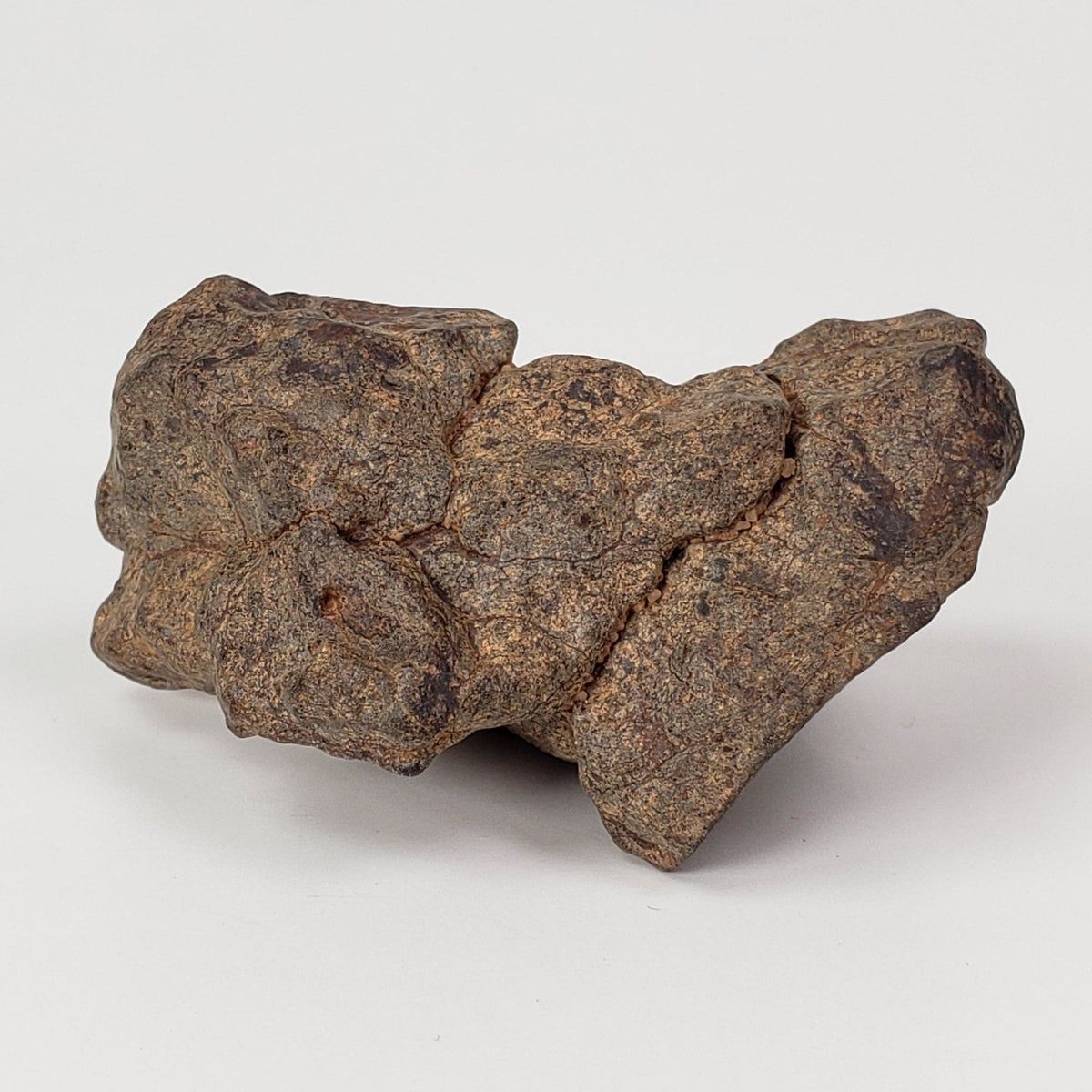  Northwest Africa NWA Meteorite | 54 Grams | Individual Fragment | Sahara 3