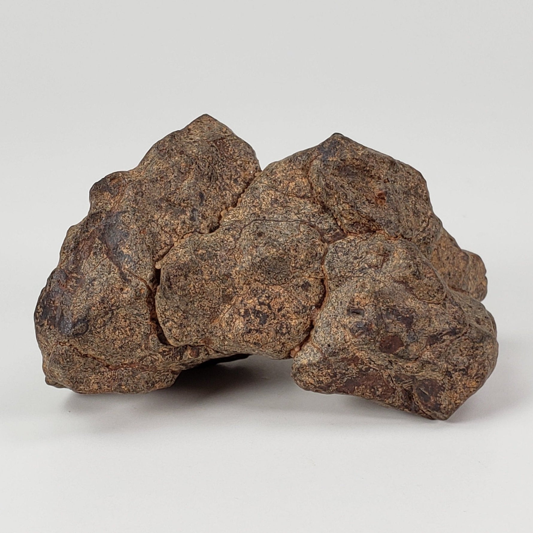  Northwest Africa NWA Meteorite | 54 Grams | Individual Fragment | Sahara 5