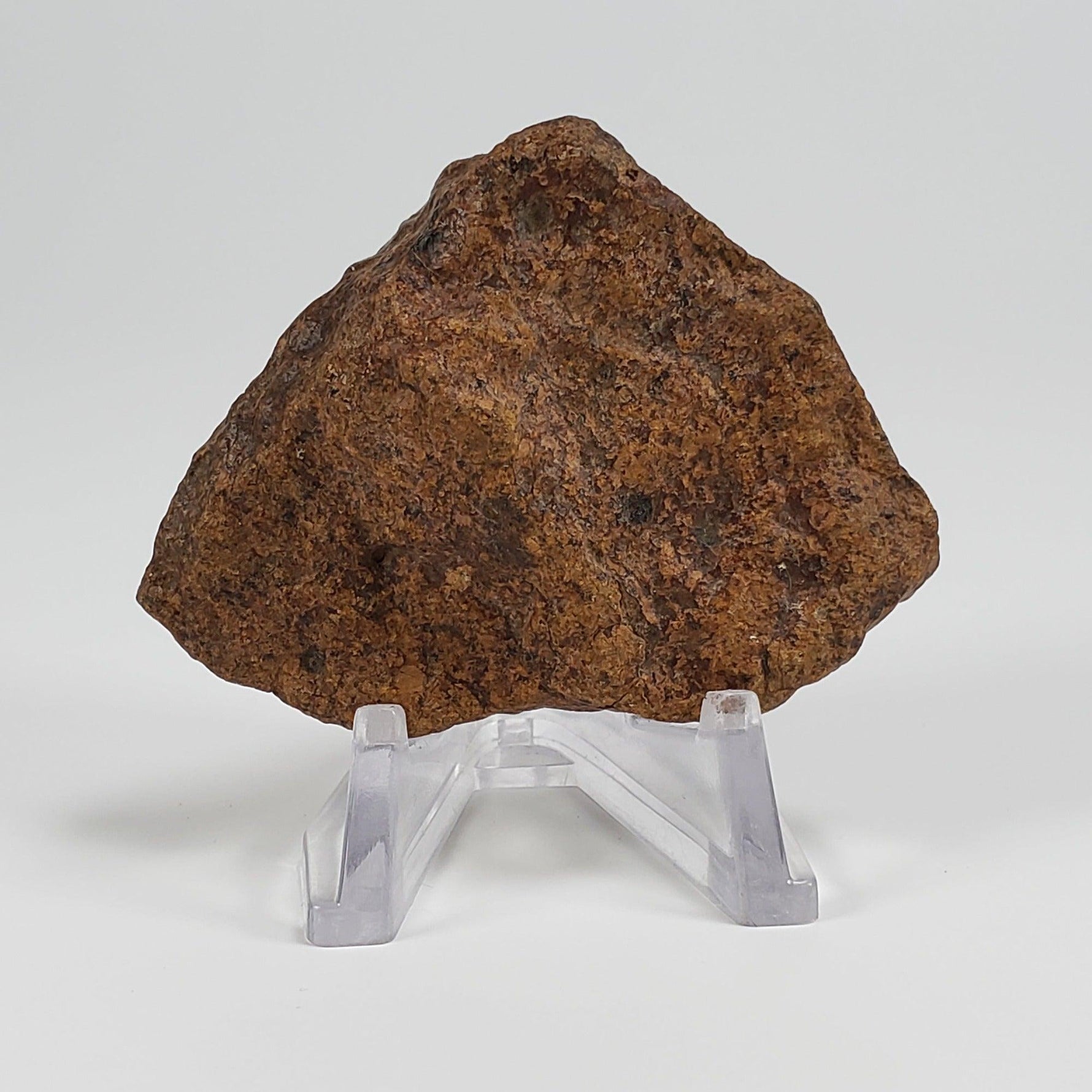  Northwest Africa NWA Meteorite | 58.7 Grams | Individual Fragment | Sahara 1