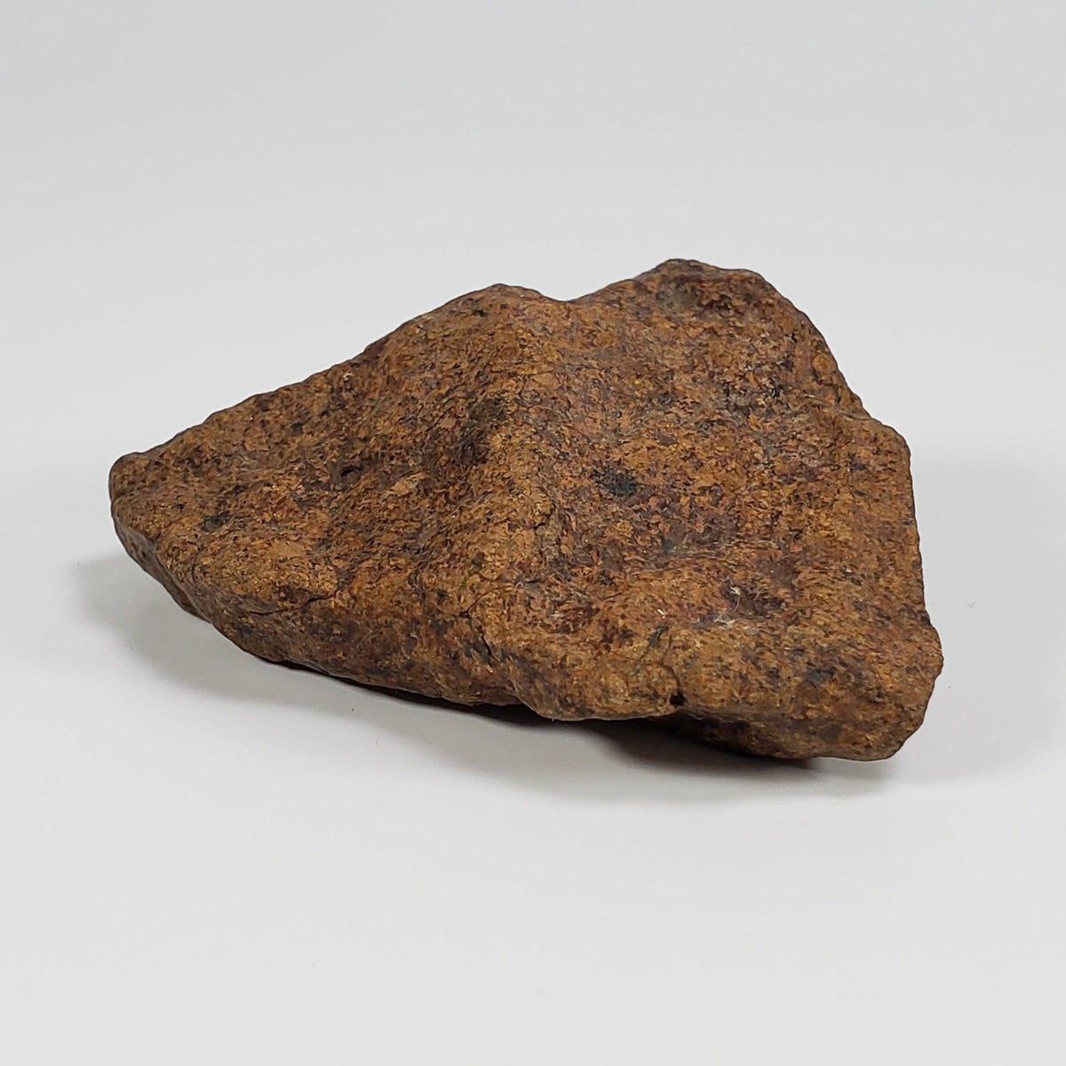  Northwest Africa NWA Meteorite | 58.7 Grams | Individual Fragment | Sahara 5