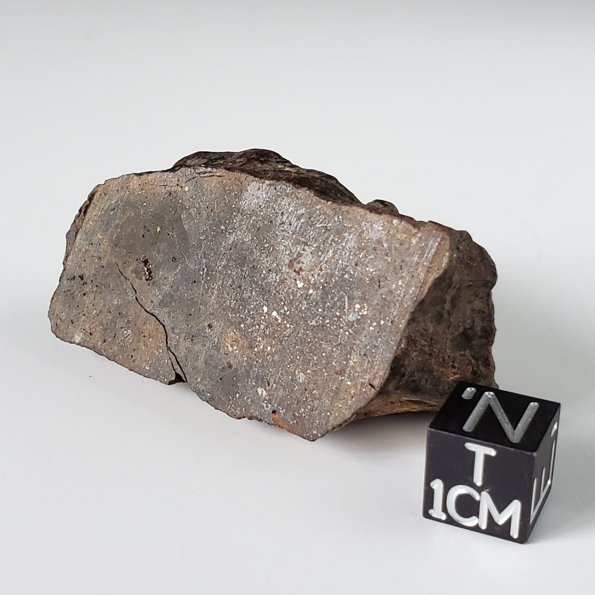  Northwest Africa NWA Meteorite | 60 Grams | End Cut | Sahara 