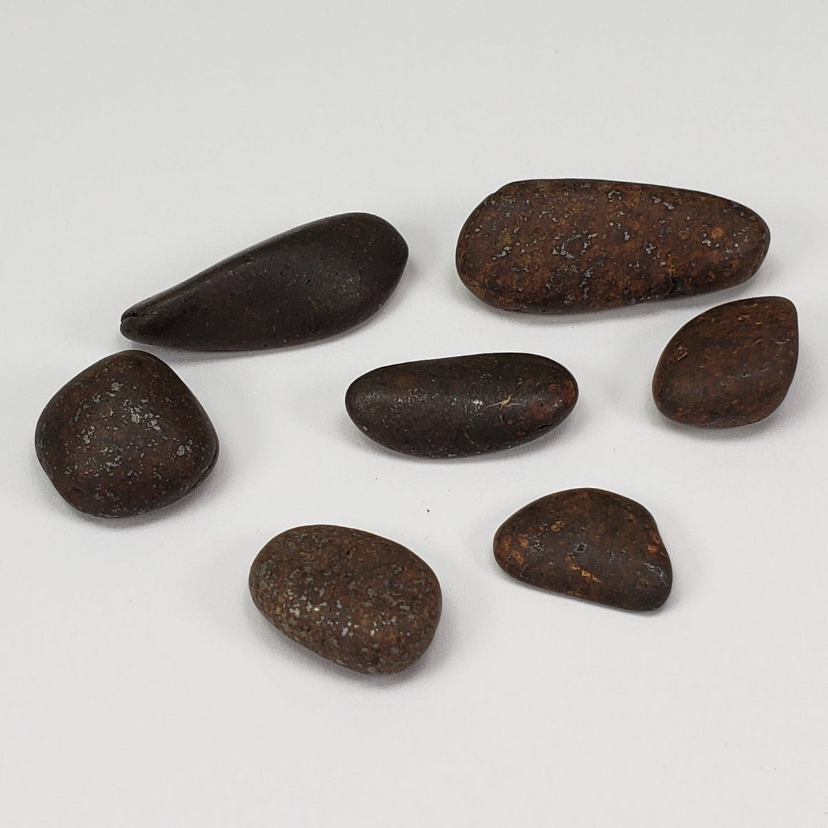  Northwest Africa NWA Meteorite 7 Piece Lot | 20 Grams | Tumbled Individuals | Sahara | SO24 1