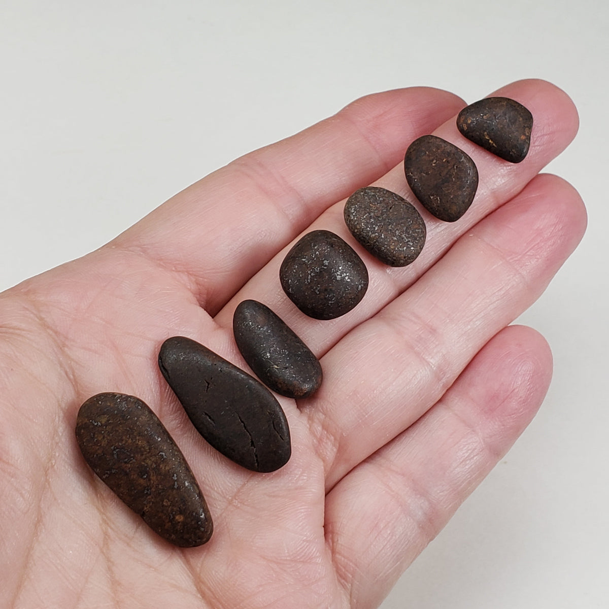  Northwest Africa NWA Meteorite 7 Piece Lot | 20 Grams | Tumbled Individuals | Sahara | SO24 2
