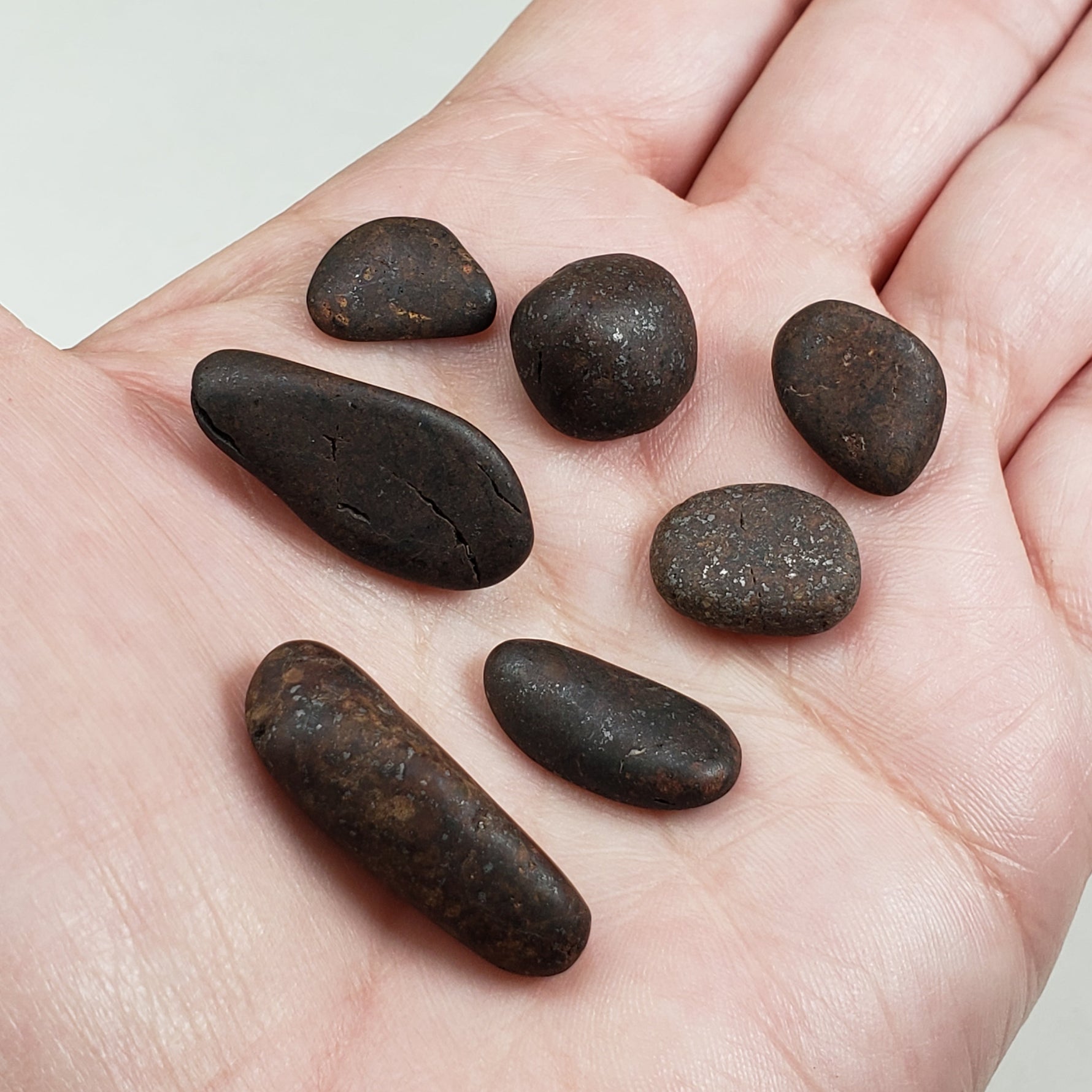 Northwest Africa NWA Meteorite 7 Piece Lot | 20 Grams | Tumbled Individuals | Sahara | SO24 3