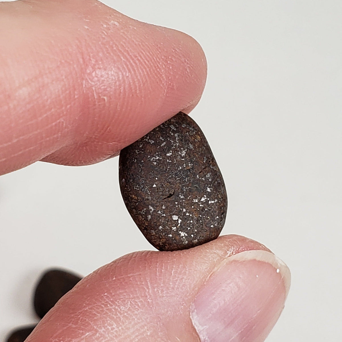  Northwest Africa NWA Meteorite 7 Piece Lot | 20 Grams | Tumbled Individuals | Sahara | SO24 4