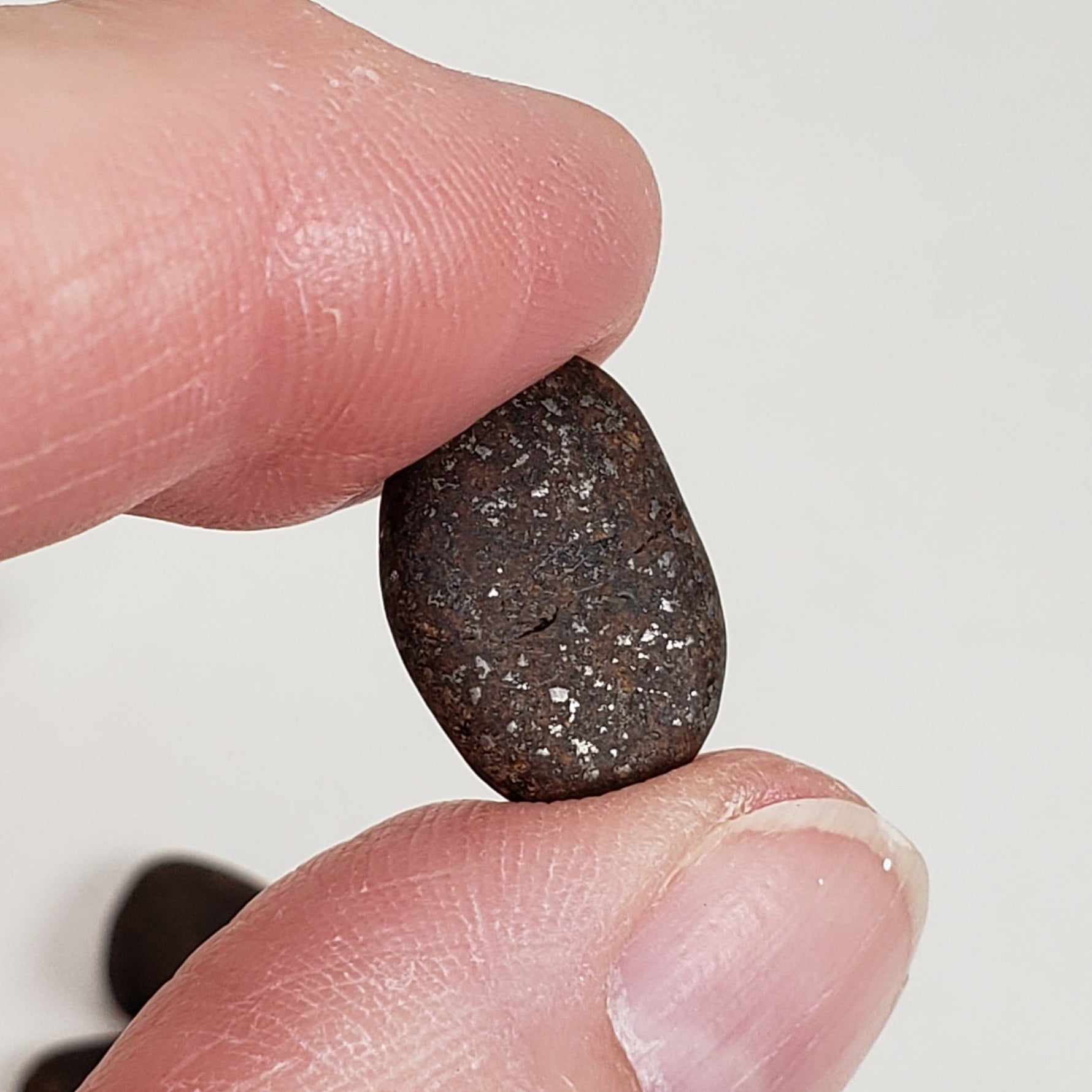  Northwest Africa NWA Meteorite 7 Piece Lot | 20 Grams | Tumbled Individuals | Sahara | SO24 4