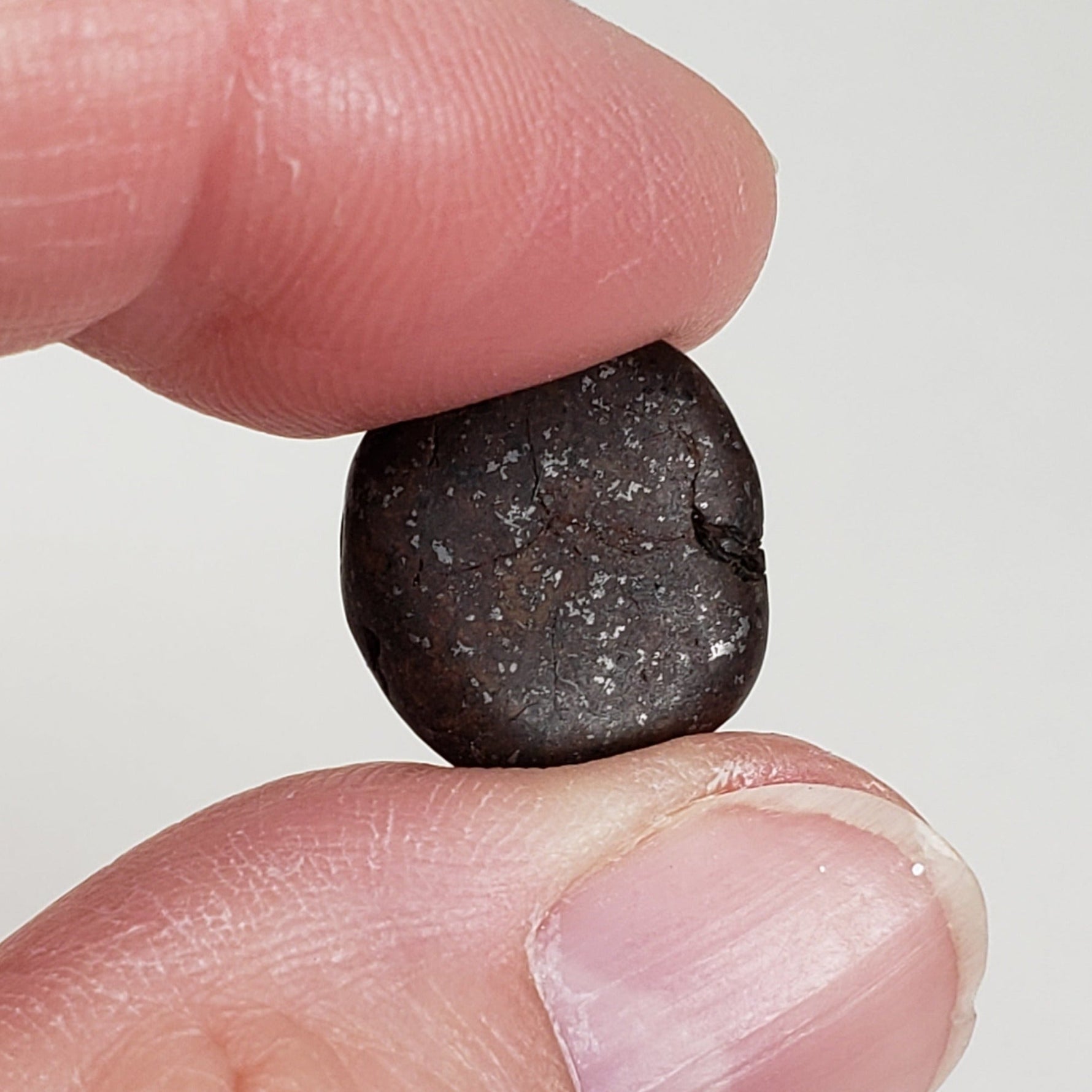  Northwest Africa NWA Meteorite 7 Piece Lot | 20 Grams | Tumbled Individuals | Sahara | SO24 5