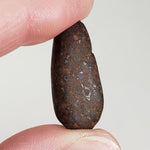  Northwest Africa NWA Meteorite 7 Piece Lot | 20 Grams | Tumbled Individuals | Sahara | SO24 6