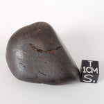  Northwest Africa NWA Meteorite | 75.5 Grams | Individual | Tumbled Meteorite | Sahara 