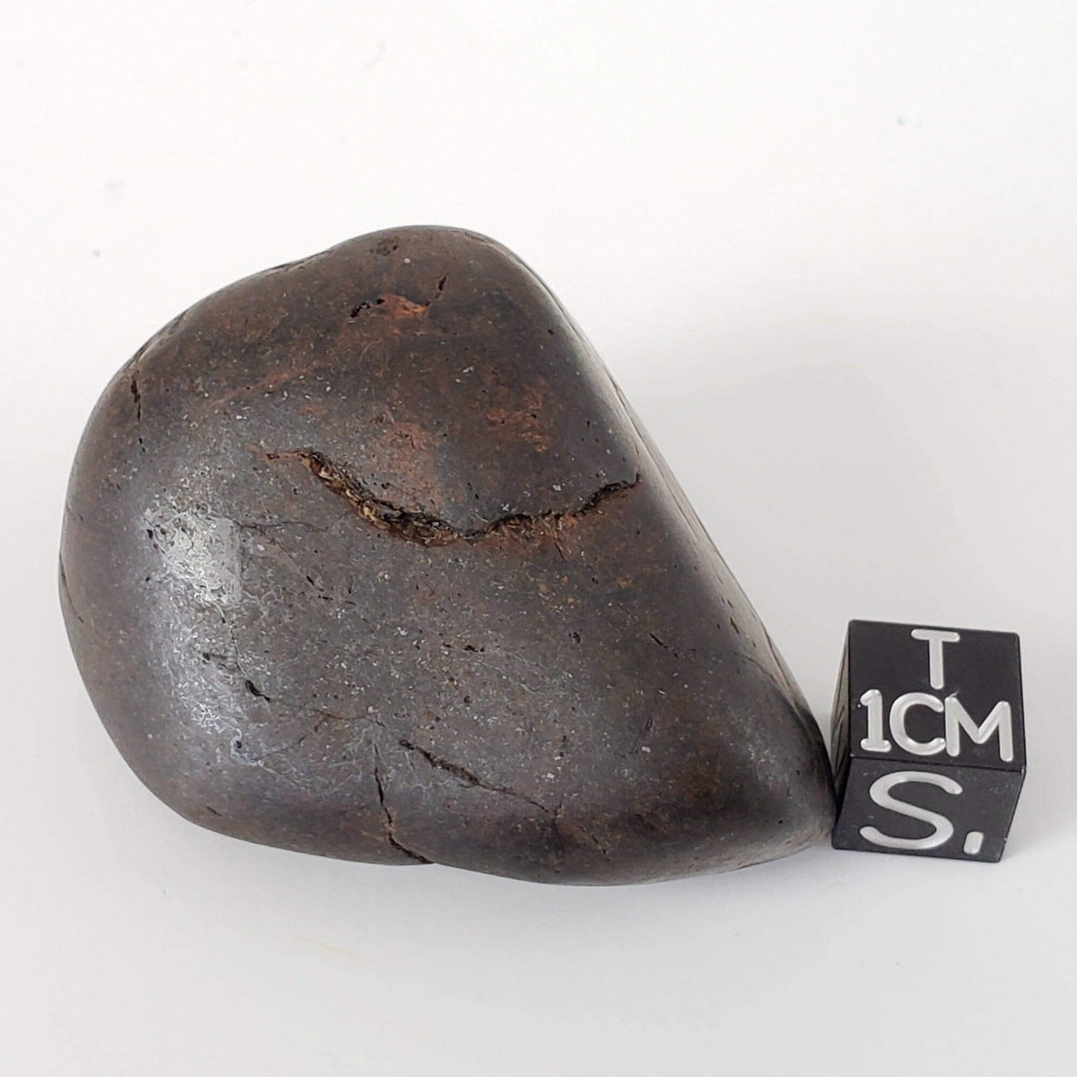  Northwest Africa NWA Meteorite | 75.5 Grams | Individual | Tumbled Meteorite | Sahara 