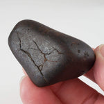  Northwest Africa NWA Meteorite | 75.5 Grams | Individual | Tumbled Meteorite | Sahara 7