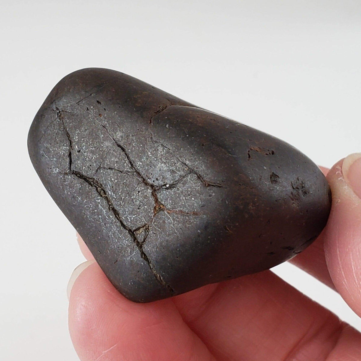  Northwest Africa NWA Meteorite | 75.5 Grams | Individual | Tumbled Meteorite | Sahara 7