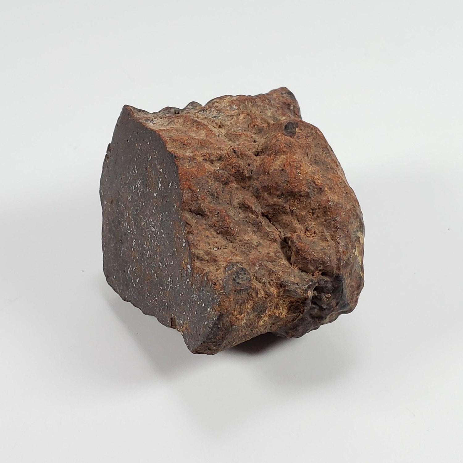  Northwest Africa NWA Meteorite | 81.1 Grams | End Cut | Sahara | SO24 1