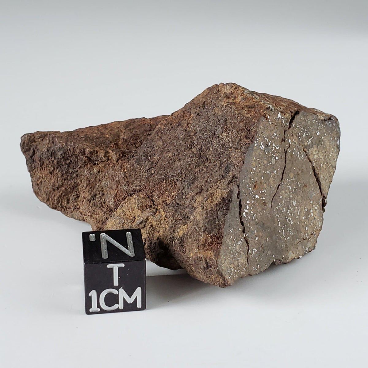 Northwest Africa NWA Meteorite | 82.84 Grams | End Cut | Sahara 