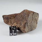  Northwest Africa NWA Meteorite | 82.84 Grams | End Cut | Sahara 