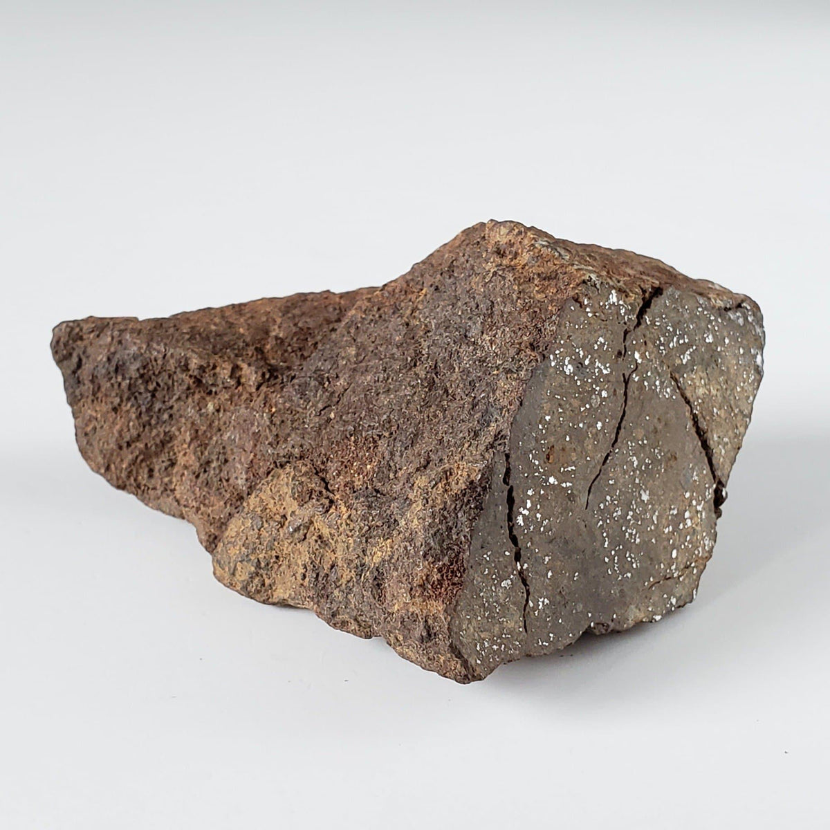  Northwest Africa NWA Meteorite | 82.84 Grams | End Cut | Sahara 1