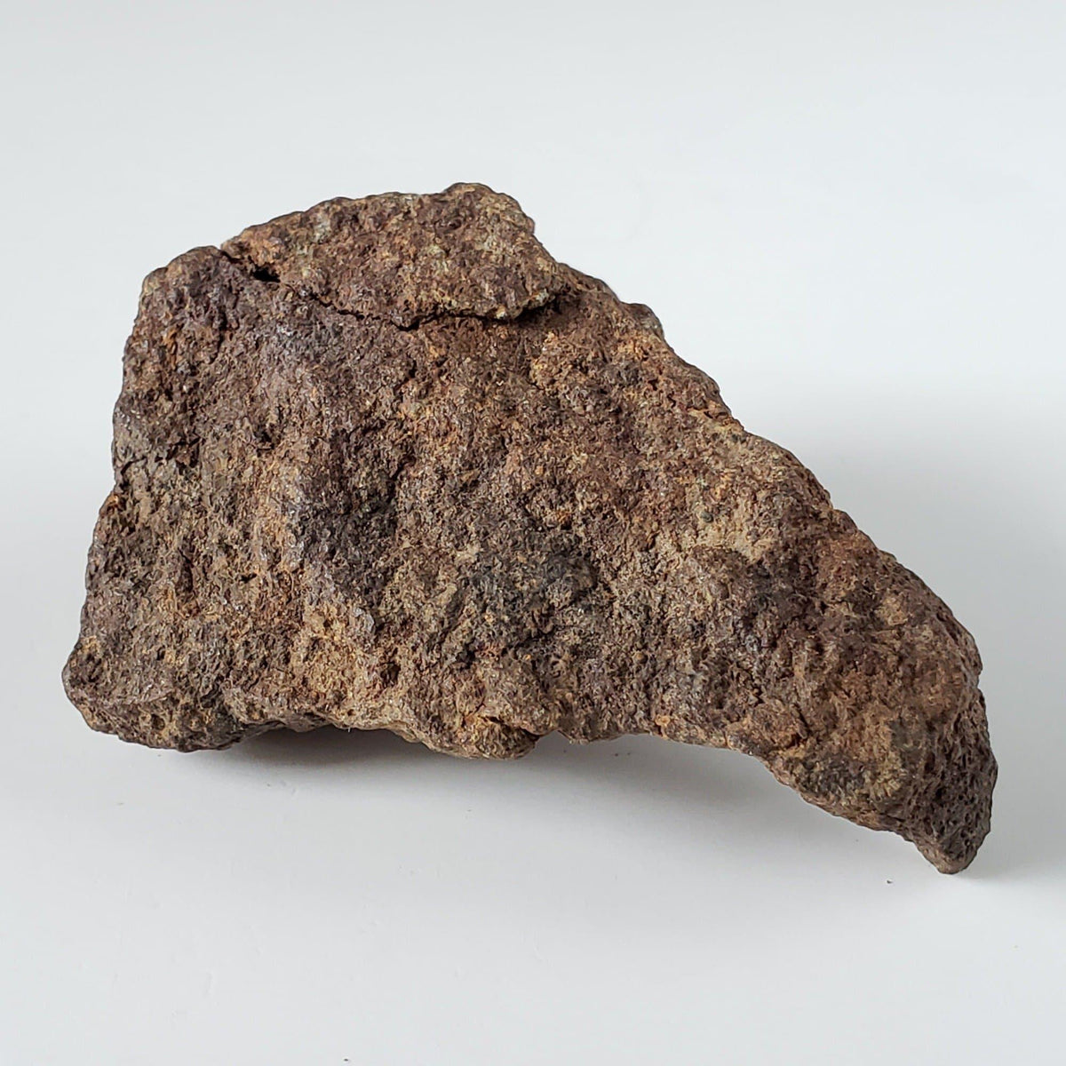  Northwest Africa NWA Meteorite | 82.84 Grams | End Cut | Sahara 2