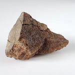  Northwest Africa NWA Meteorite | 82.84 Grams | End Cut | Sahara 4