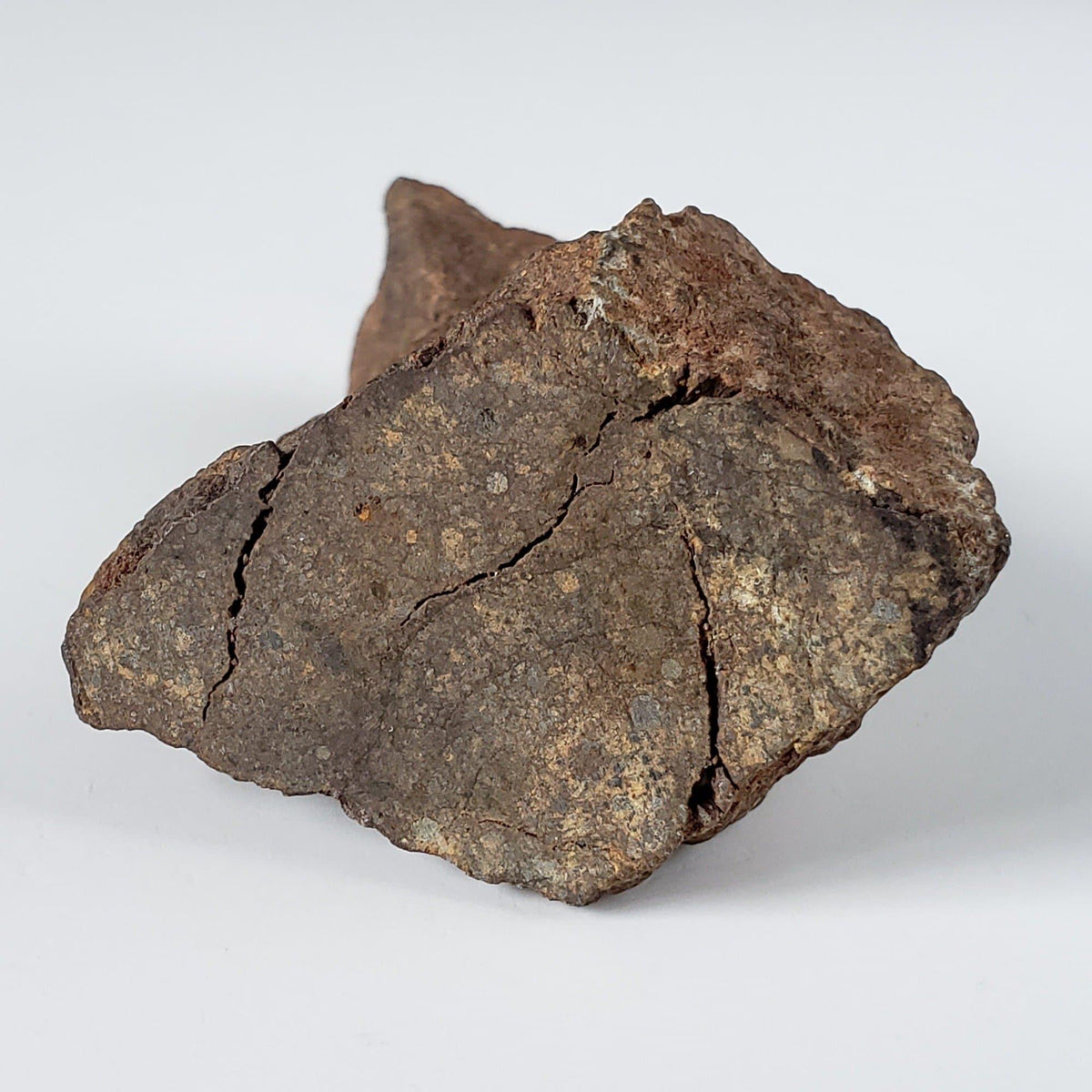  Northwest Africa NWA Meteorite | 82.84 Grams | End Cut | Sahara 5