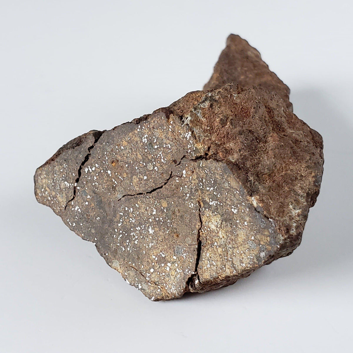  Northwest Africa NWA Meteorite | 82.84 Grams | End Cut | Sahara 6
