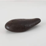  Northwest Africa NWA Meteorite | Meteorite Worry Stone | 29.5 Grams | Individual | Tumbled Meteorite | Sahara | SO24 4