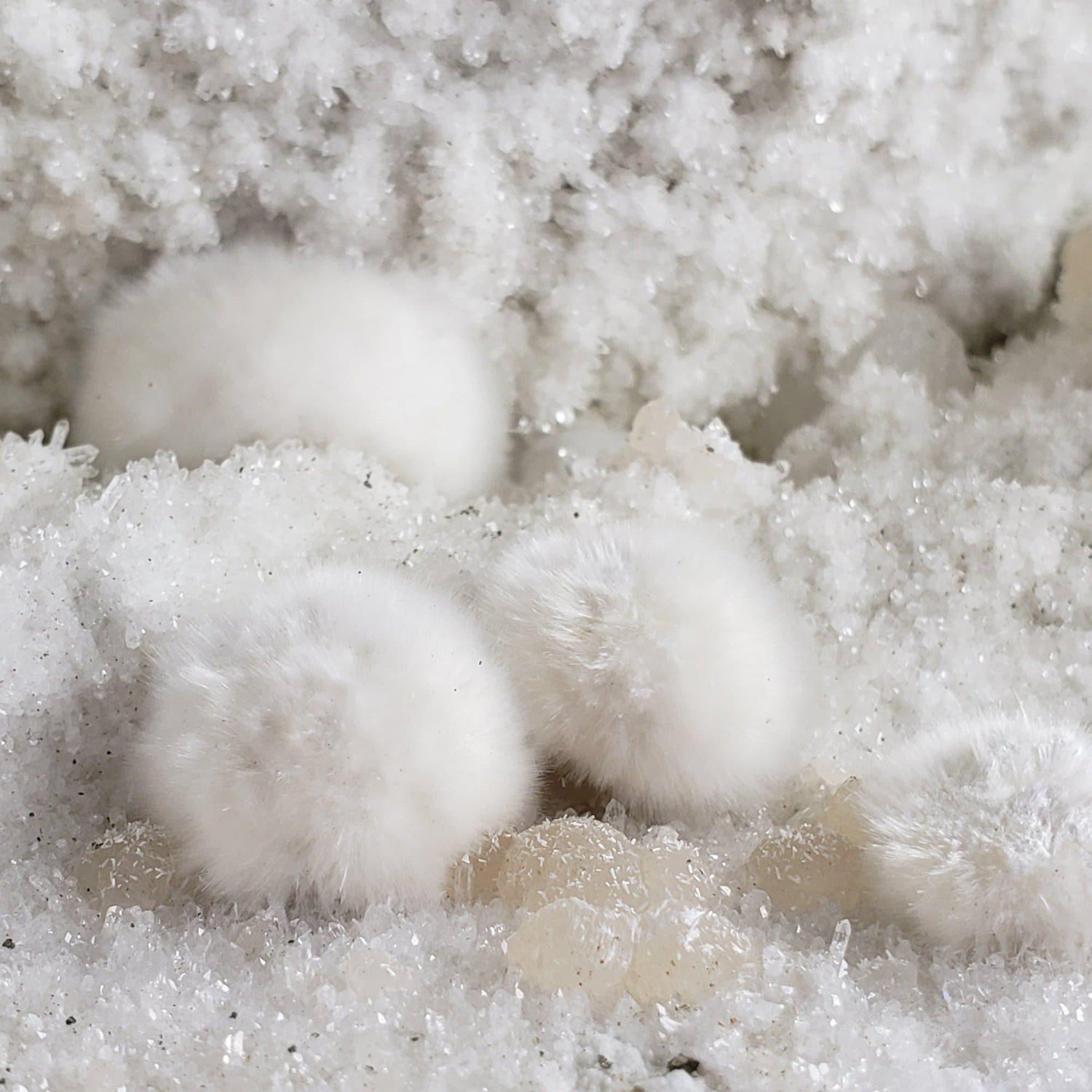  Okenite and Gyrolite on Quartz and Prehnite Druse | 1.8 Kg | Dindoshi, India 1