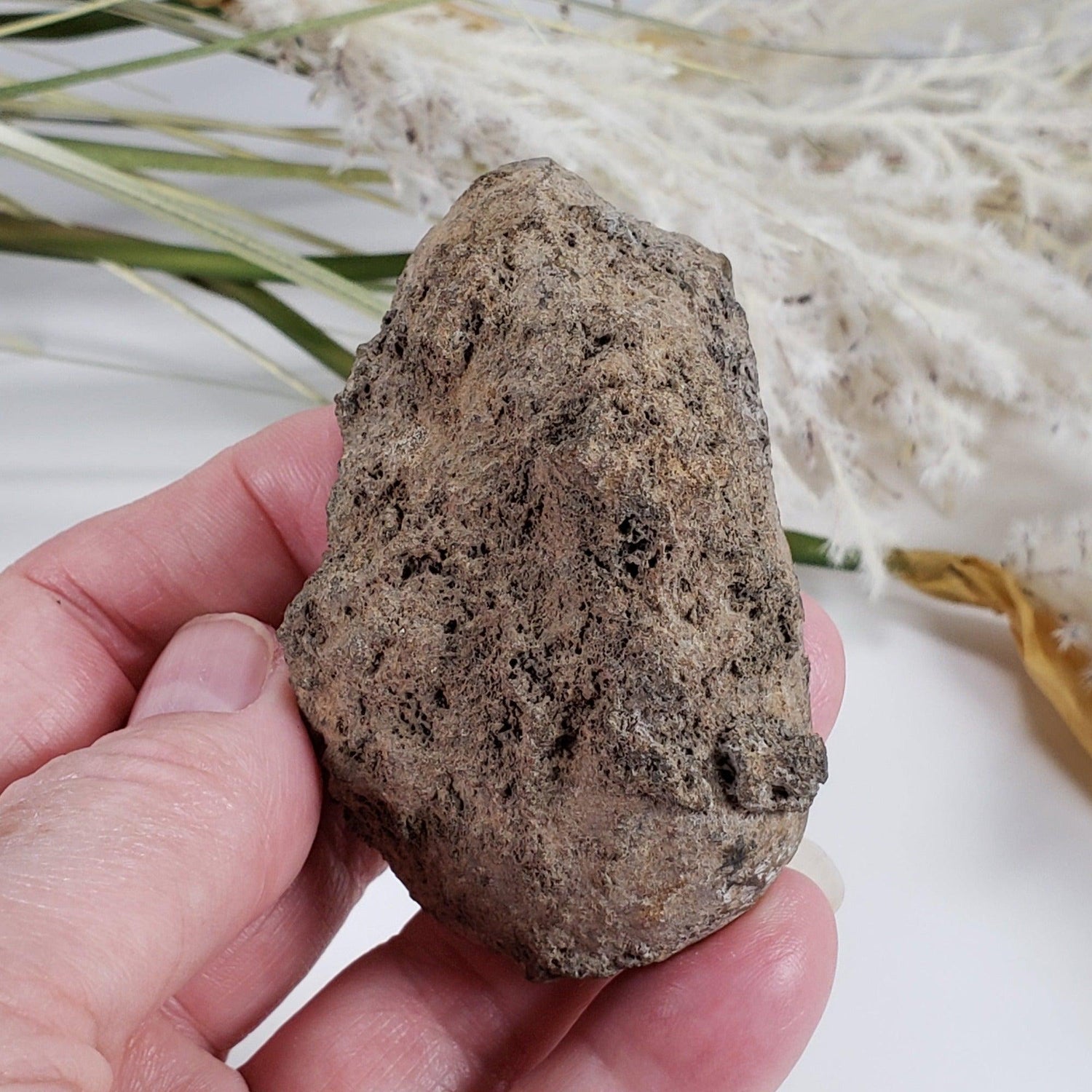  Olivine Volcanic Bomb | Lava Coated Crystal | 100.7 gr | Mortlake, Victoria, Australia SO24 1