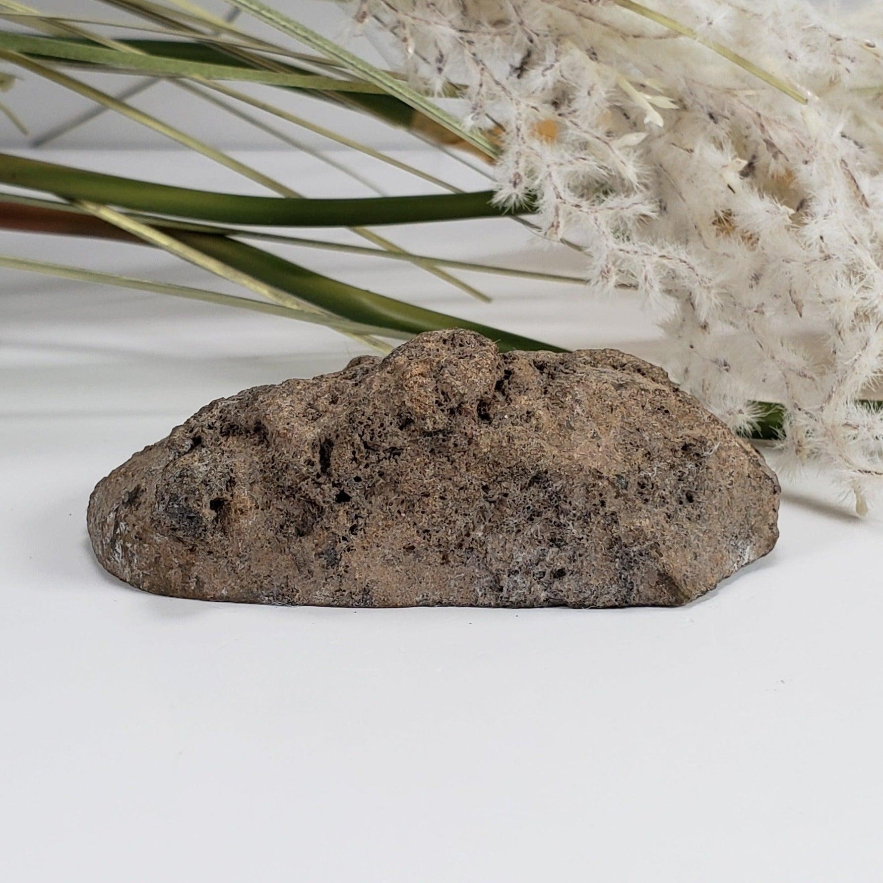  Olivine Volcanic Bomb | Lava Coated Crystal | 100.7 gr | Mortlake, Victoria, Australia SO24 4