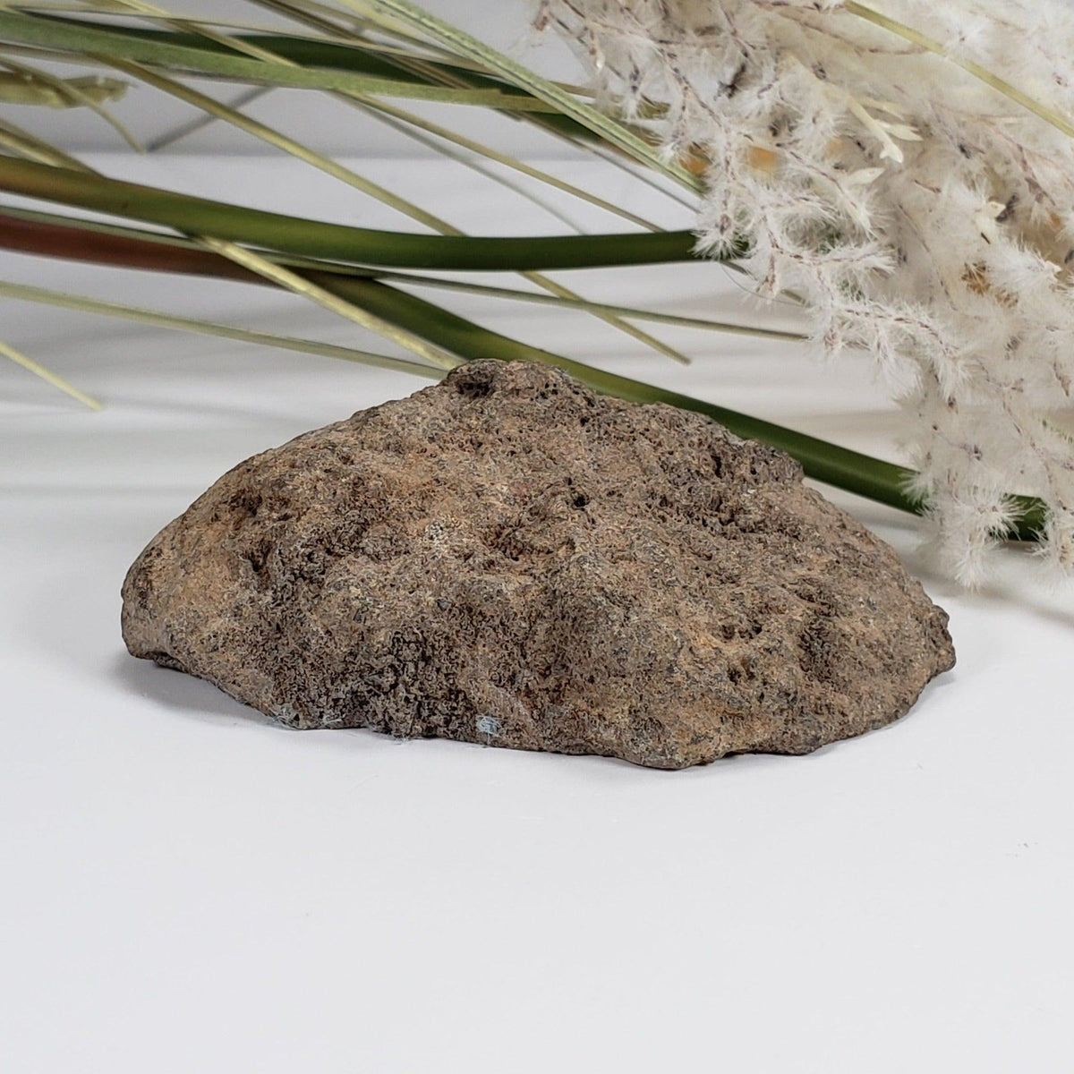  Olivine Volcanic Bomb | Lava Coated Crystal | 100.7 gr | Mortlake, Victoria, Australia SO24 5