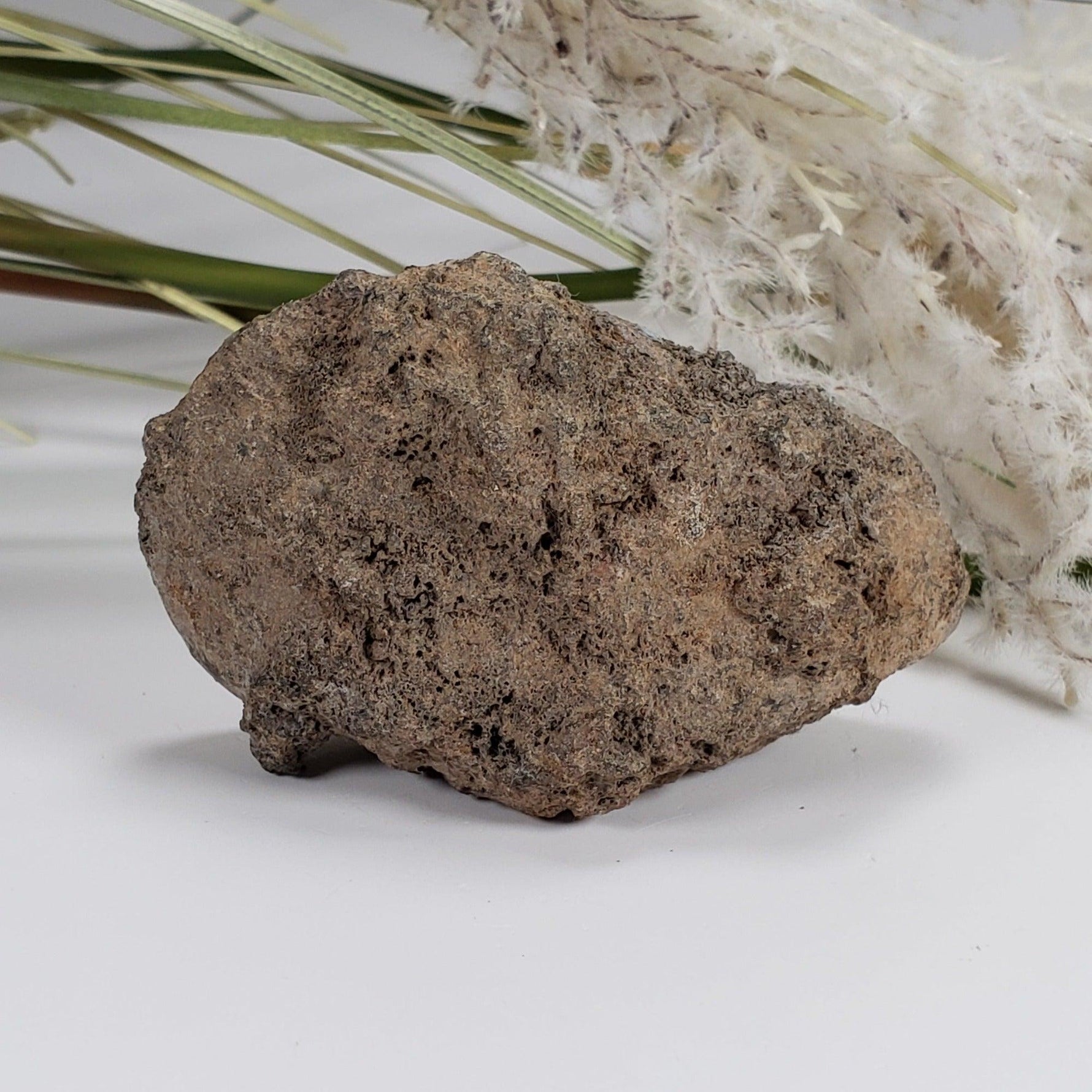  Olivine Volcanic Bomb | Lava Coated Crystal | 100.7 gr | Mortlake, Victoria, Australia SO24 7