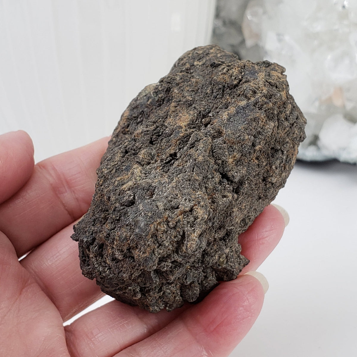  Olivine Volcanic Bomb | Lava Coated Crystal | 187.4 gr | Mt Shadwell Volcano, Australia 7