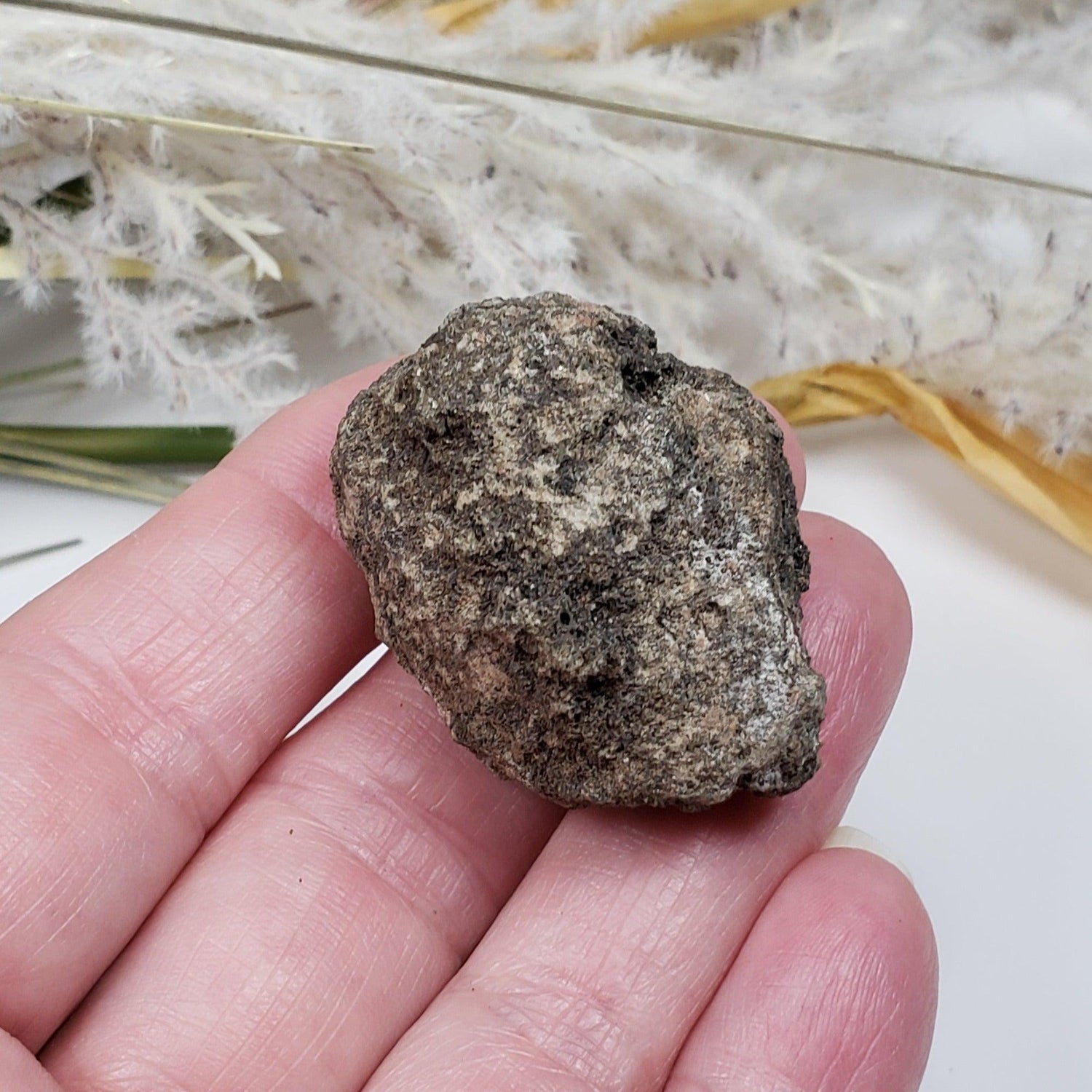  Olivine Volcanic Bomb | Lava Coated Crystal | 39.5 gr | Mortlake, Victoria, Australia SO24 