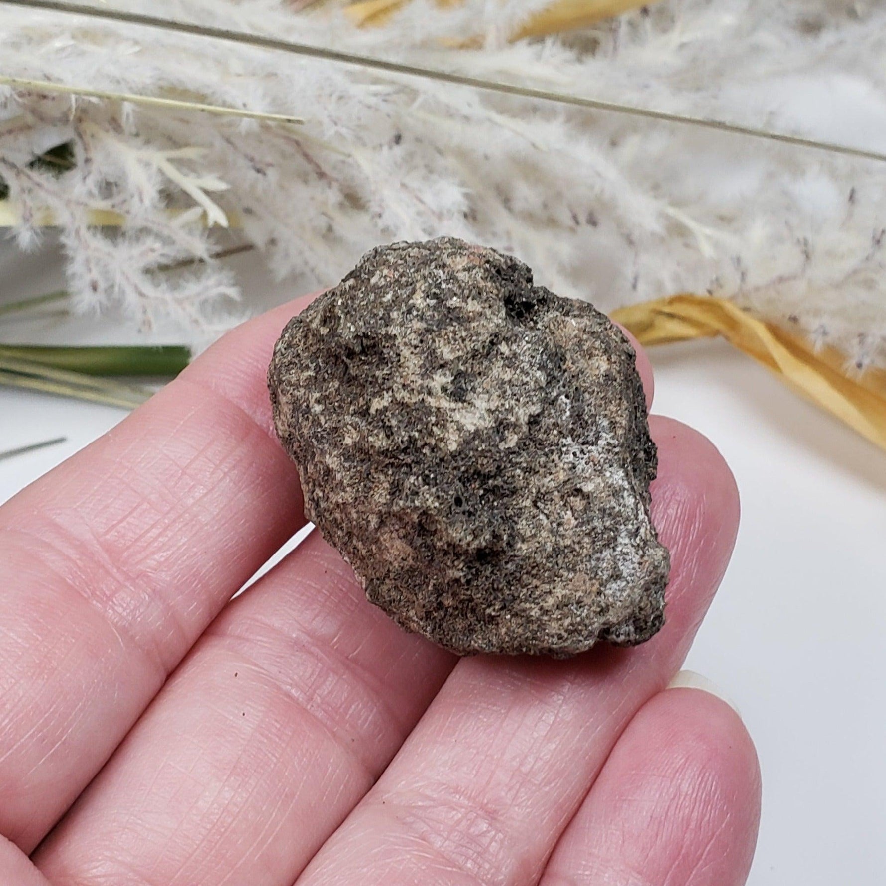  Olivine Volcanic Bomb | Lava Coated Crystal | 39.5 gr | Mortlake, Victoria, Australia SO24 