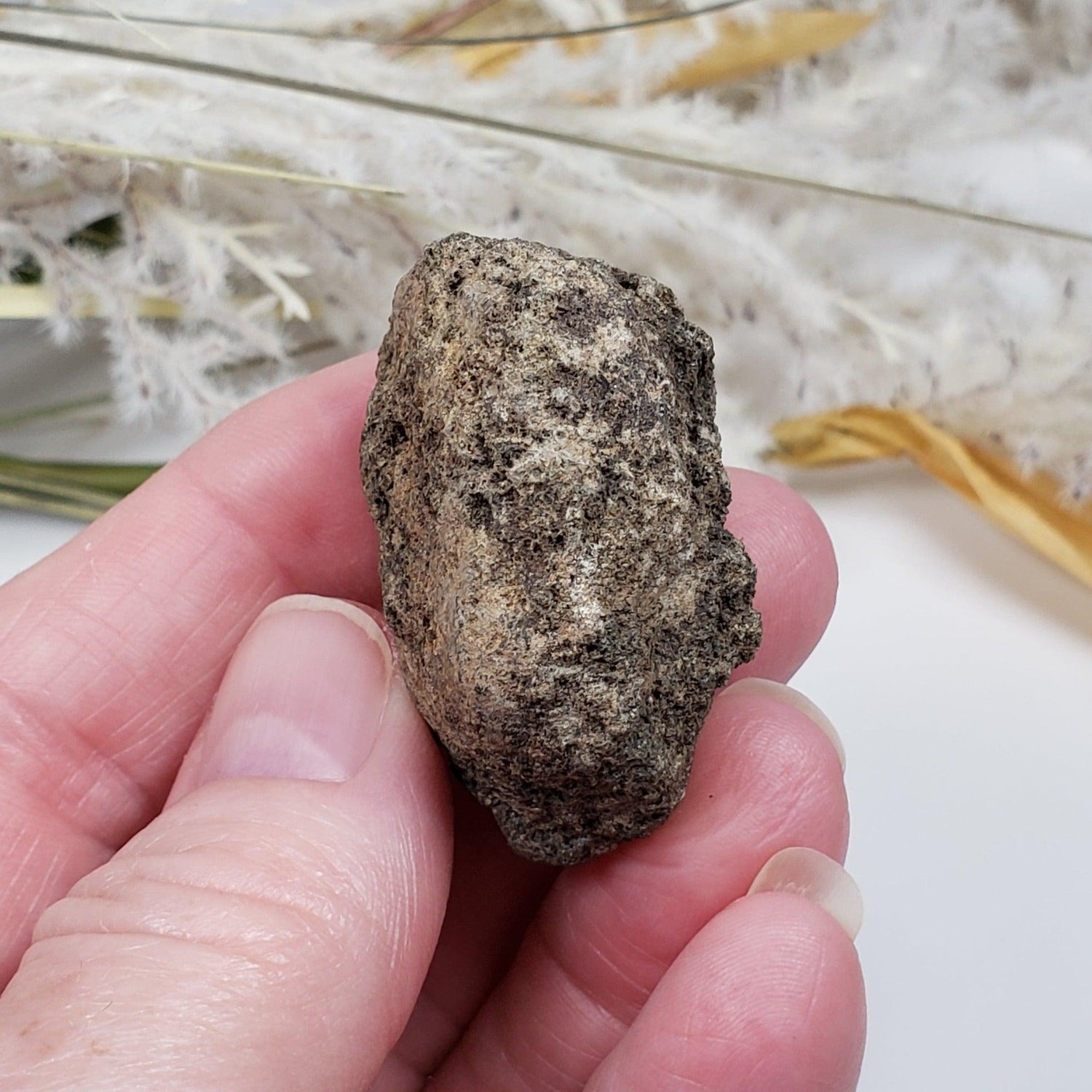  Olivine Volcanic Bomb | Lava Coated Crystal | 39.5 gr | Mortlake, Victoria, Australia SO24 1