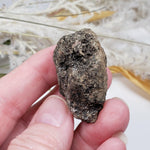  Olivine Volcanic Bomb | Lava Coated Crystal | 39.5 gr | Mortlake, Victoria, Australia SO24 2