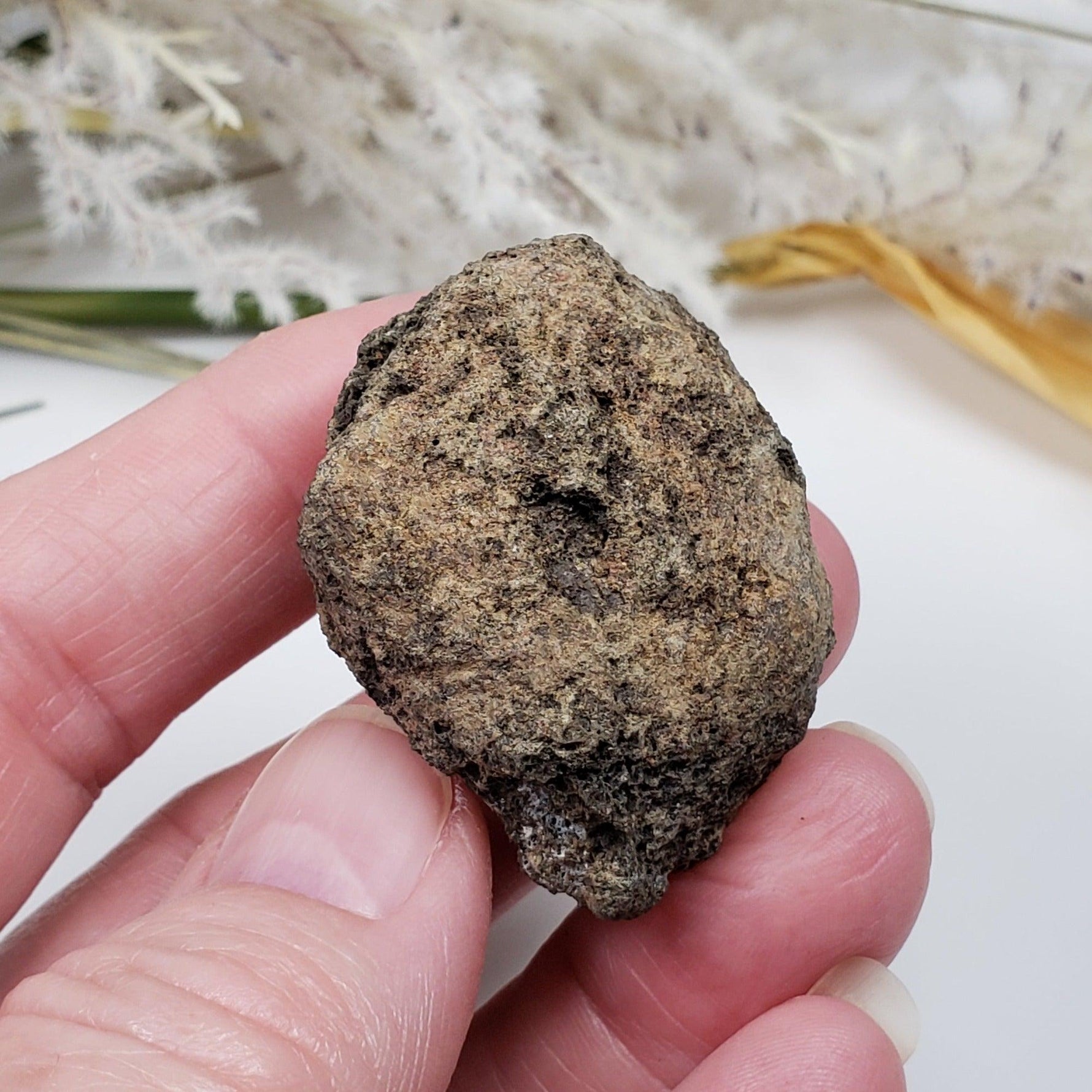  Olivine Volcanic Bomb | Lava Coated Crystal | 39.5 gr | Mortlake, Victoria, Australia SO24 3